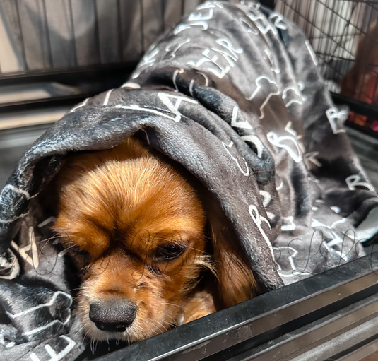 Bark Blankets