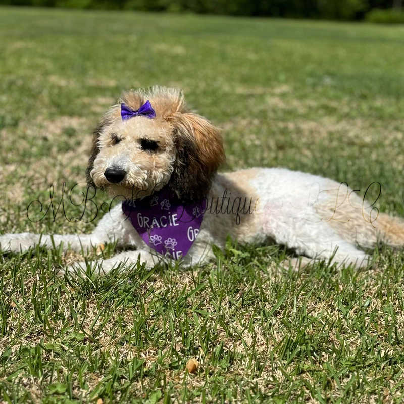 Load image into Gallery viewer, Personalized Pet Bandana
