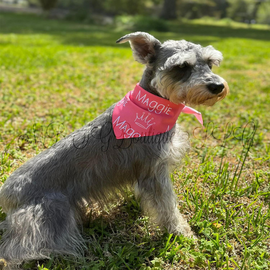 Personalized Pet Bandana