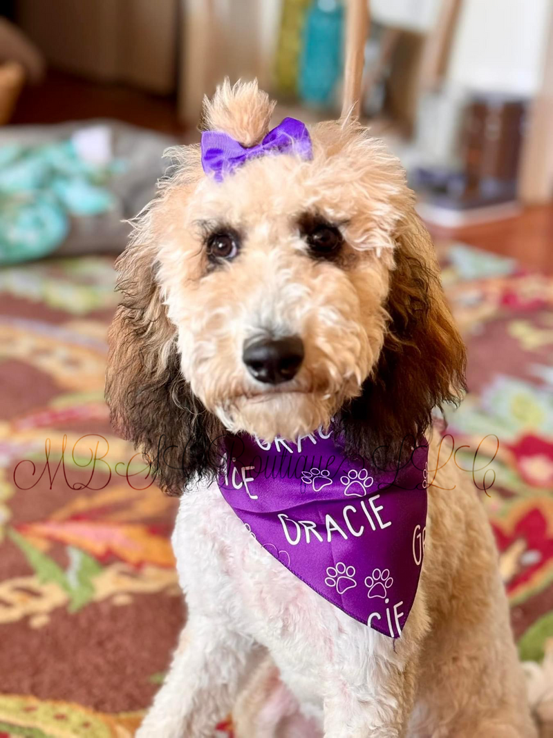 Load image into Gallery viewer, Personalized Pet Bandana
