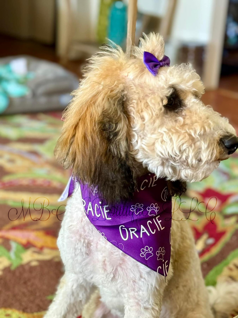 Load image into Gallery viewer, Personalized Pet Bandana
